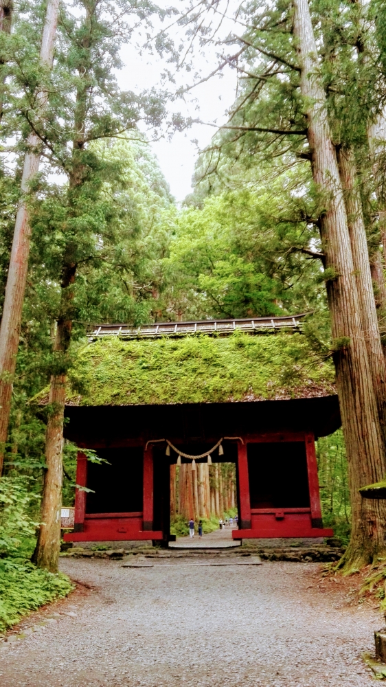 戸隠神社その後 - 秋月美南ブログ